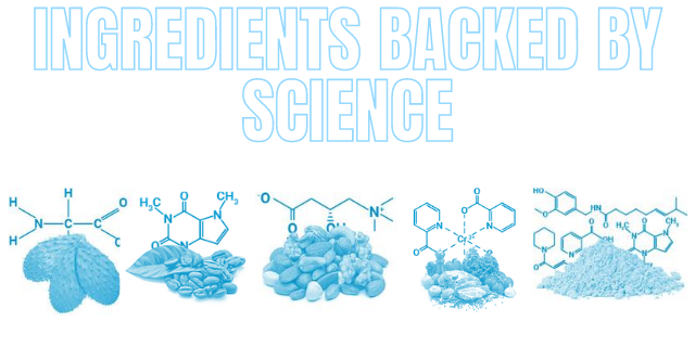 phenq ingredients